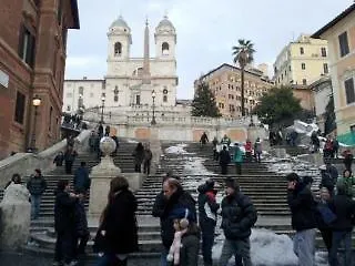 Il Grillo Ai Fori Romani *