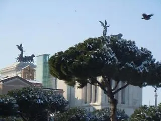 Il Grillo Ai Fori Romani